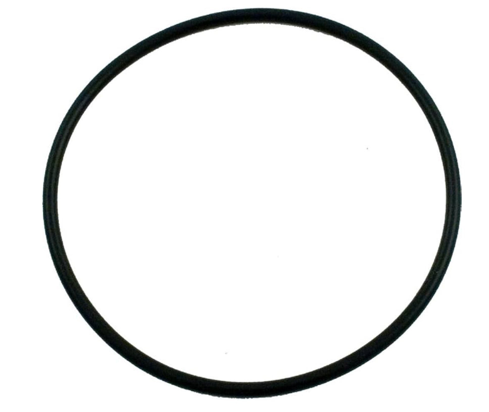 Dynamo Lid O-Ring