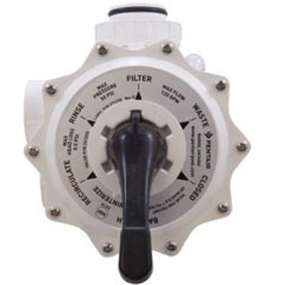 261055 Pentair 2" Sand Praher