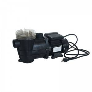 Elements 1/3hp Pump