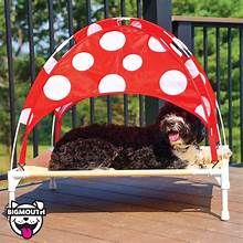Mushroom Elevated Pet Bed