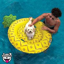 Pineapple Dog Float
